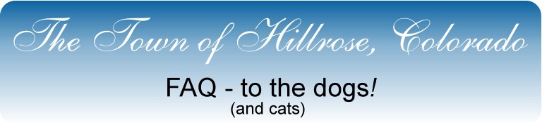 Dog and Cat Questions